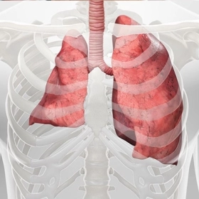 Xẹp Phổi: Dấu Hiệu Nhận Biết Và Hướng Xử Trí Kịp Thời