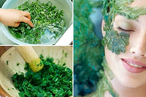 7 công dụng của lá ngải cứu đối với sức khỏe