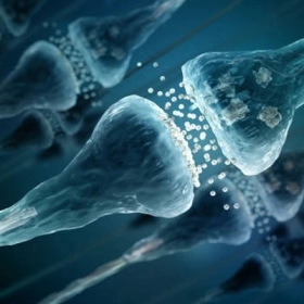 Acetylcholine là gì? Vai trò, tác dụng và cách tăng tự nhiên hiệu quả