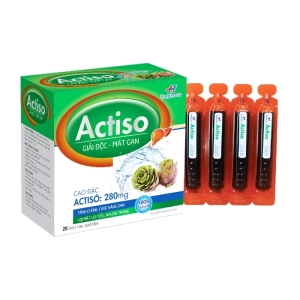 Actiso Thephaco 20 ống x 10ml - Giải độc gan, mát gan