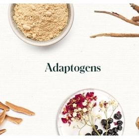 Adaptogen Là Gì? Cơ Chế Hoạt Động, Lợi Ích Và Cách Dùng Hiệu Quả