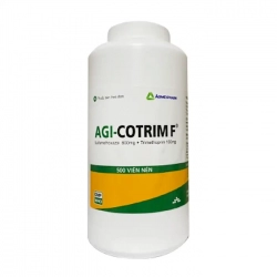 Agi-Cotrim F Agimexpharm 500 viên Agi-Cotrim F Agimexpharm 500 viên