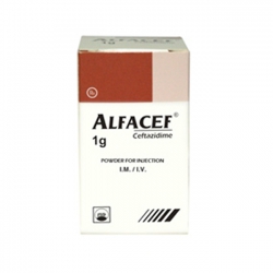 ALFACEF 1g PMP