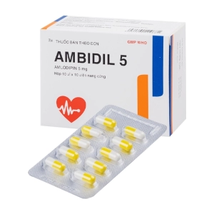 Ambidil 5mg Bidiphar 10 vỉ x 10 viên (Amlodipin besilat)