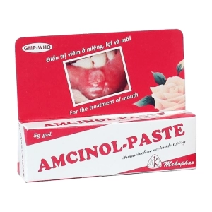 Amcinol-Paste Mekophar tuýp 5g (Triamcinolon acetonid)