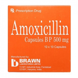 Amoxicillin 500mg Brawn 10 vỉ x 10 viên Amoxicillin 500mg Brawn 10 vỉ x 10 viên