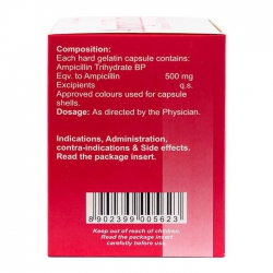 Ampicillin 500mg Brawn 10 vỉ x 10 viên