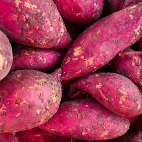 Ăn Khoai Lang Có Giảm Cân Không? Giải Thích Từ Góc Nhìn Dinh Dưỡng