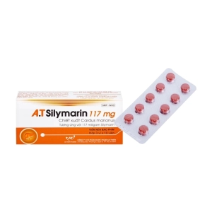 A.T Silymarin 117mg Bidiphar 3 vỉ x 10 viên (Silymarin)