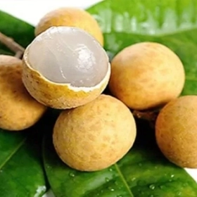 Bà Bầu Ăn Nhãn Được Không? Lợi Ích, Tác Hại Và Cách Ăn An Toàn