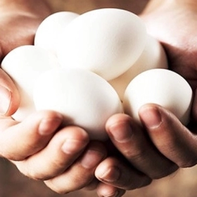 Bà Bầu Nên Ăn Trứng Ngỗng Vào Tháng Thứ Mấy Để Tốt Cho Thai Nhi?