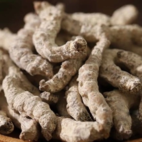 Bạch Cương Tàm Là Gì? Công Dụng Và Cách Dùng Trị Liệt Mặt, Đau Đầu, Phong Thấp