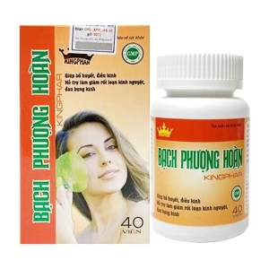 Bạch Phượng Hoàn Kingphar 40 viên – Hỗ trợ bổ khí dưỡng huyết