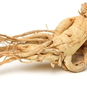 Bạch Sâm Có Tác Dụng Gì? Công Dụng, Cách Dùng Và Lưu Ý