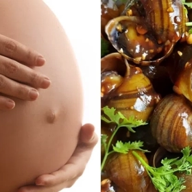 Bầu Ăn Ốc Được Không? Những Loại Ốc Bà Bầu Được Ăn Và Lưu Ý
