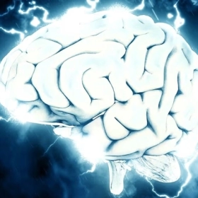 Bệnh bò điên: Triệu chứng, nguyên nhân và cách phòng ngừa ở người