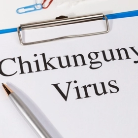 Bệnh Chikungunya: Dấu Hiệu Nhận Biết, Nguyên Nhân Và Cách phòng Ngừa