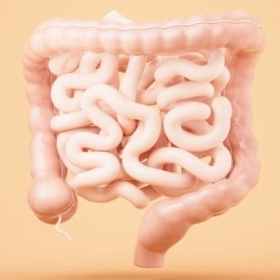 Bệnh Crohn Là Gì? Nguyên Nhân, Triệu Chứng Và Cách Điều Trị