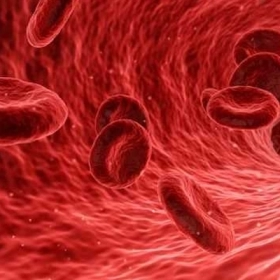 Bệnh Đa Hồng Cầu Có Nguy Hiểm Không? Những Điều Cần Biết