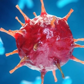 Bệnh Rubella Là Gì? Nguyên Nhân, Triệu Chứng Và Cách Điều Trị