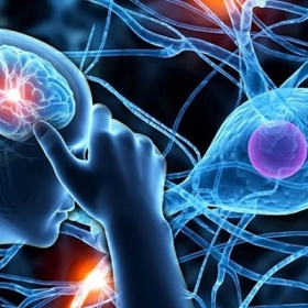 Bệnh thần kinh vận động: Cơ chế, Triệu chứng Và Giải pháp