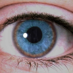 Bệnh Wilson: Dấu hiệu nhận biết và phương pháp điều trị