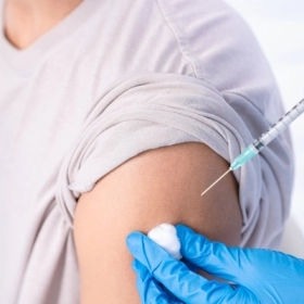 Bị Chó Mèo Cắn Cần Tiêm Phòng Dại Mấy Mũi Là Đủ?