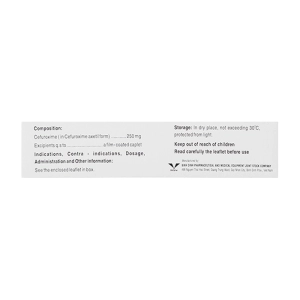 Bifumax 250 Bidiphar 2 vỉ x 5 viên (Cefuroxim) Bifumax 250 Bidiphar 2 vỉ x 5 viên (Cefuroxim)