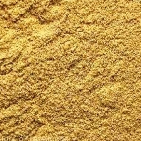 Bồ Hoàng Là Gì? Công Dụng, Cách Dùng Và Những Lưu Ý Quan Trọng