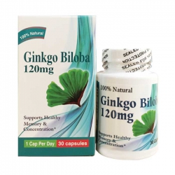 Bổ não Earth’s Creation Ginkgo Biloba 120mg, Chai 60 viên