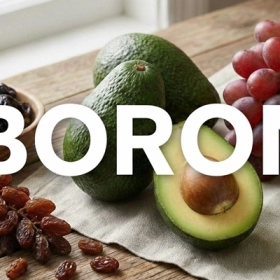 Boron Là Gì? Vai Trò Của Boron Đối Với Sức Khỏe Con Người