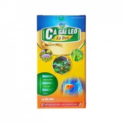 Tpbvsk bổ gan Cà gai leo xạ đen, Hộp 60 viên