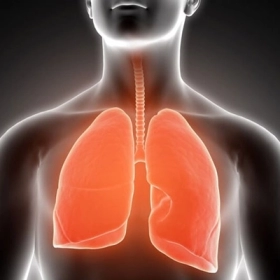 Các Bệnh Lý Về Phổi Phổ Biến Hiện Nay Và Mức Độ Nguy Hiểm