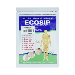 Cao dán Ecosip, Hộp 20 gói x 5 miếng Cao dán Ecosip, Hộp 20 gói x 5 miếng