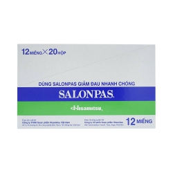 Cao dán Salonpas ( 12 miếng x 20 Hộp) Cao dán Salonpas ( 12 miếng x 20 Hộp)
