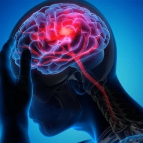 Cao Huyết Áp Có Nên Uống Hoạt Huyết Dưỡng Não? Lợi Ích Và Lưu Ý