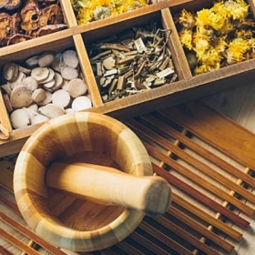10 Cây Thuốc Nam Chữa Bệnh Đau Nhức Xương Khớp Hiệu Quả Nhất