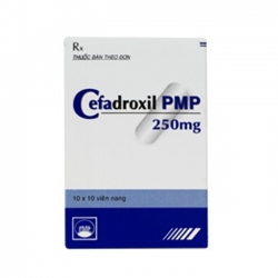 Thuốc kháng sinh Cefadroxil 250 mg PMP