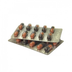 CEFASTAD 500 - Cephalexin 500 mg CEFASTAD 500 - Cephalexin 500 mg