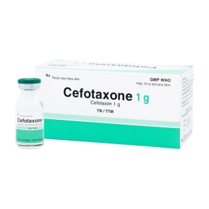 Cefotaxone 1g Bidiphar 10 lọ (Cefotaxim)