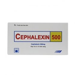 Thuốc kháng sinh PMP Cefalexin 500 Thuốc kháng sinh PMP Cefalexin 500