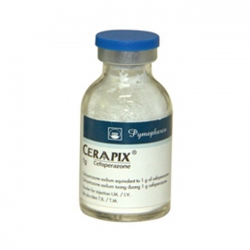 Thuốc bột pha tiêm Ceraapix 1g PMP