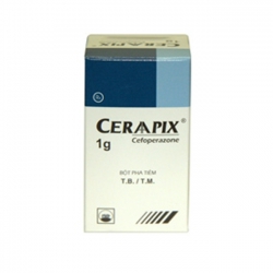 Thuốc bột pha tiêm Ceraapix 1g PMP
