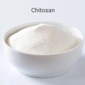 Chitosan Là Gì? Công Dụng Và Vai Trò Đối Với Sức Khỏe
