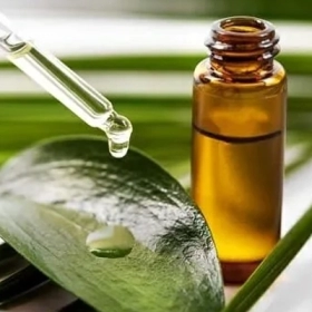 Chữa Ngạt Mũi Cho Trẻ Sơ Sinh Bằng Dầu Tràm: Lưu Ý Quan Trọng Cần Biết