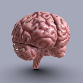 Citicoline là gì? Công dụng với trí nhớ và chức năng não bộ