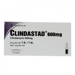 CLINDASTAD 600mg - Clindamycin 600mg CLINDASTAD 600mg - Clindamycin 600mg