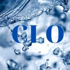 Clo Là Gì? Vai Trò, Nhu Cầu Hằng Ngày Và Nguồn Bổ Sung Tự Nhiên Clo Là Gì? Vai Trò, Nhu Cầu Hằng Ngày Và Nguồn Bổ Sung Tự Nhiên