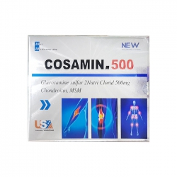 Tpbvsk xương khớp Vinaphar Cosamin 500mg, Hộp 100 viên Tpbvsk xương khớp Vinaphar Cosamin 500mg, Hộp 100 viên