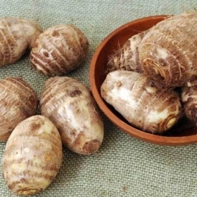 Củ Ráy Chữa Bệnh Xương Khớp: Sự Thật Khoa Học Hay Chỉ Là Mẹo Dân Gian?